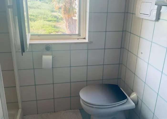 Constanna نوشيرا تيرينيزي